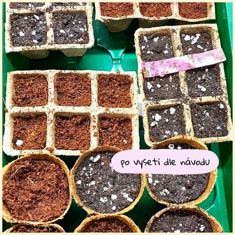 rôzne typy nádob na výsev priesad