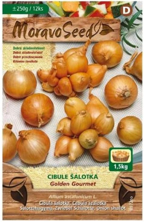 fotografie rôznych odrôd šalotky (Red Sun, Golden Gourmet, Zebrune)