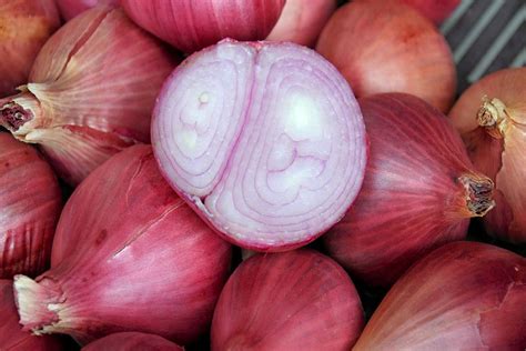 fotografia zaváranej šalotky