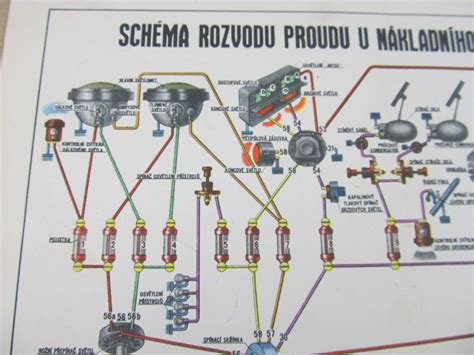 schéma základných potrieb machu (svetlo, voda, podklad)