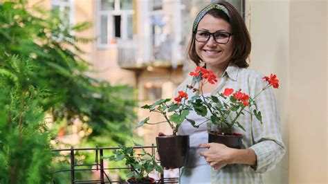 Fotografia balkóna s kombináciou rastlín pre polotieň