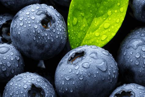 Ilustrácia správneho rezu kríka čučoriedky.