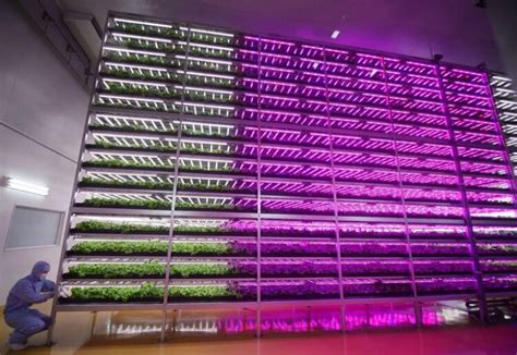 Ilustračná fotografia: Moderná vertikálna farma s LED osvetlením v mestskom prostredí.