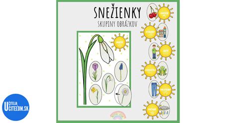 Ilustrácia snežienky jarnej s detailným popisom jej častí