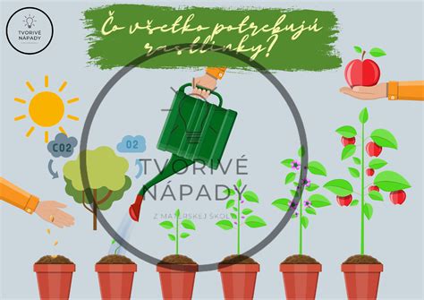 infografika znázorňujúca cyklus kvitnutia medonosných rastlín od skorej jari do neskorej jesene