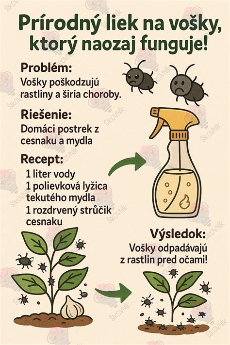 Ilustrácia škodcu háďatka, ktorý napáda cibuľu rastliny.
