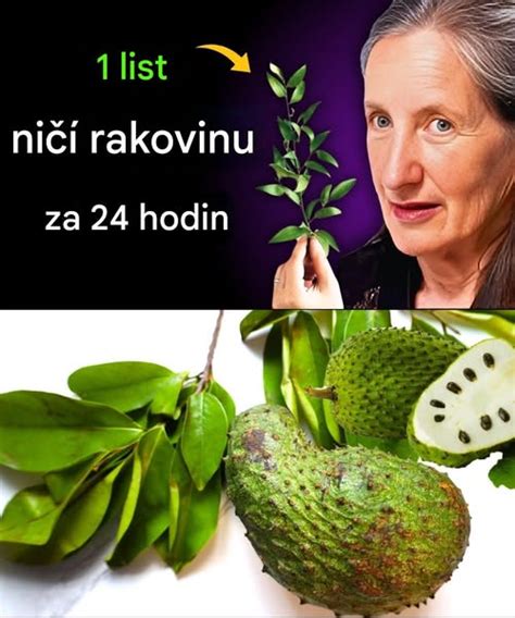 sušené listy gravioly