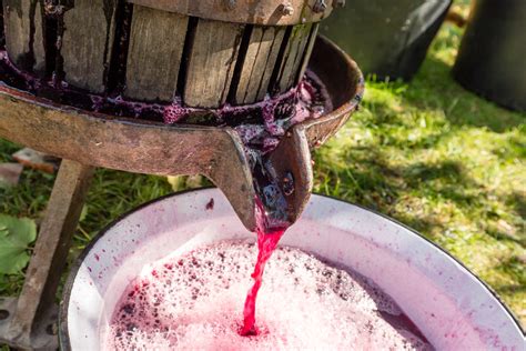 Detailný záber na funkciu odstopkovača pri mlynčeku na hrozno