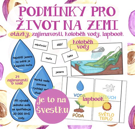 Infografika: Podmienky pre zdravý rast rastlín (svetlo, voda, teplo, vzduch)