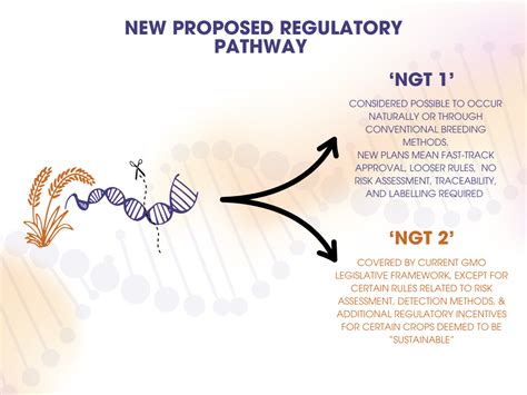Schéma porovnania klasického šľachtenia a techník genetickej modifikácie (GMO a NGT)
