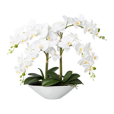 Orchidea v miske s kamienkami a vodou pre zvýšenie vlhkosti