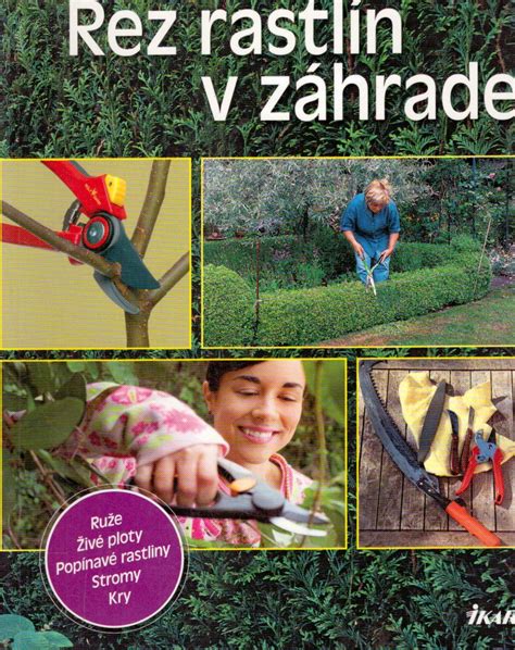 Ilustrácia rastlín v záhrade bezprostredne pred dovolenkou