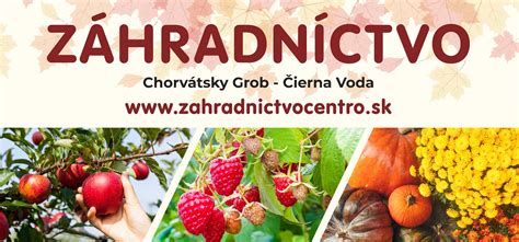 Fotografia rozsiahleho výberu rastlín v záhradníctve