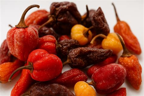 Ilustrácia rôznych foriem spracovania chilli papričiek (sušené, nakladané, v omáčke).