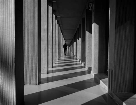 Informatívna infografika o rozdelení trvaliek podľa nárokov na svetlo (slnko, polotieň, tieň)