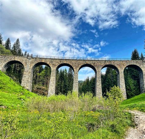 Schéma rozloženia trvaliek v záhone podľa ich výšky (nízke vpredu, vysoké vzadu)