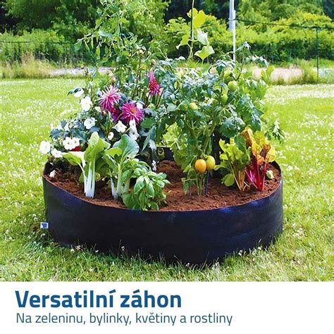 Záhon s melónmi s kvapkovou závlahou.
