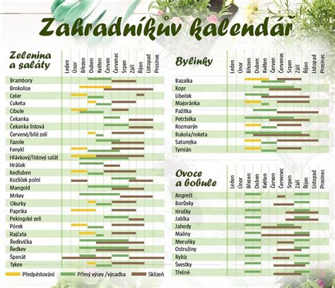 Ilustračná schéma výsevu zeleniny do skleníka vo februári