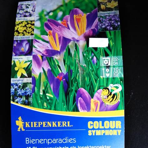 Ilustrácia rôznych druhov jarných cibuľovín