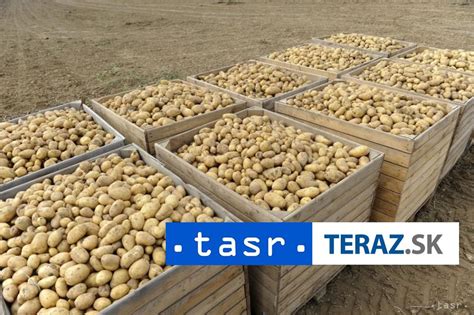 vizualizácia priemernej úrody zemiakov na hektár v porovnaní s potenciálne vyššou úrodou