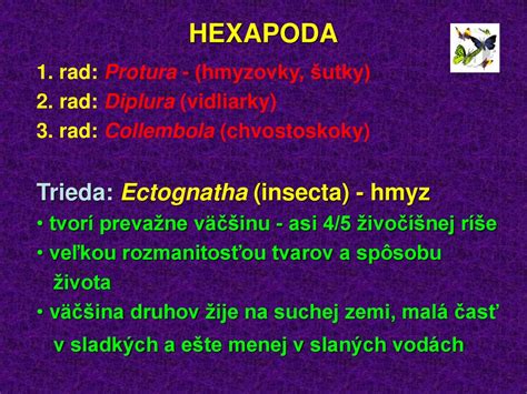 Schéma Tittelovho spôsobu vrúbľovania