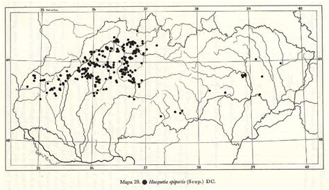 Mapa rozšírenia moruše čiernej v Európe s dôrazom na oblasť Slovenska