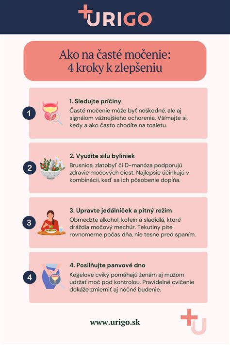 Infografika: Kroky dôkladnej prípravy pôdy