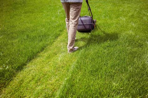 Záhradník zalievajúci čerstvo položený trávnikový koberec