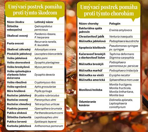 kalendár postrekov ovocných stromov s fázami rastu