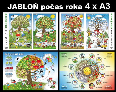 Ilustrácia znázorňujúca ročné obdobia vhodné na výsadbu ovocných stromov.