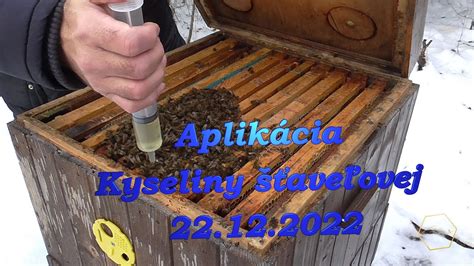 Schéma aplikácie roztoku kyseliny šťaveľovej pokapom do včelích uličiek