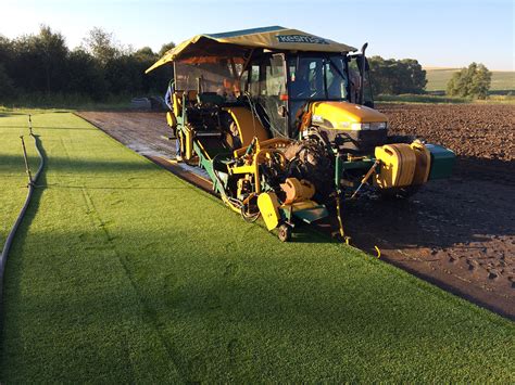 Ilustrácia pokladania trávneho koberca a následného zalievania