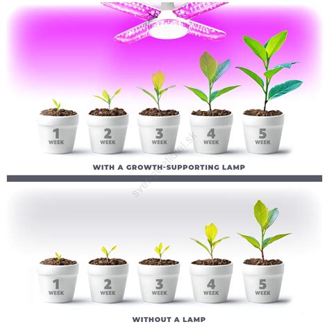 Graf porovnávajúci vplyv rôznych vlnových dĺžok svetla na rast rastlín.