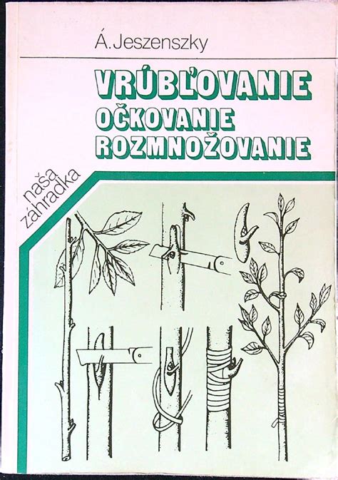 Ilustrácia rozštiepenia kmeňa pre vrúbľovanie