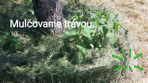 Schéma vrstvenia kompostu s pokosenou trávou a inými materiálmi