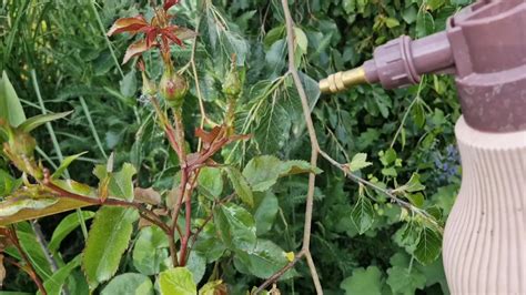 Ilustrácia poľnohospodárskeho postrekovača aplikujúceho látku na rastliny.