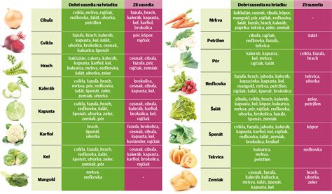 Schéma ideálnych susedských vzťahov na zeleninovej hriadke