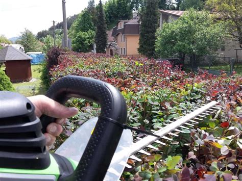 Nástroje na strihanie živého plota a príklad kónického rezu