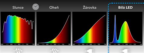Infografika: požiadavky brezy na pôdu, svetlo a graf odolnosti voči mrazu.