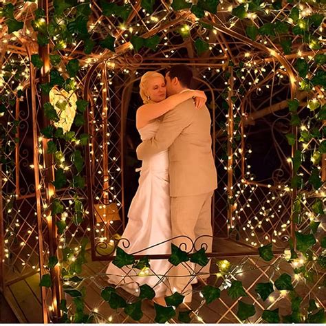 Ilustrácia rôznych typov brečtanu s rôzne tvarovanými listami