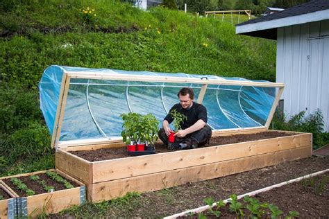 Fotografia moderných skleníkov Agro GTV s úrodou paradajok