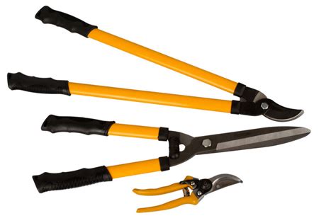 Rôzne typy záhradníckych nožníc a pílky na strihanie stromov
