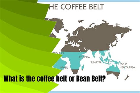 Schéma kávového opaska (coffee belt) okolo rovníka medzi obratníkmi Raka a Kozorožca