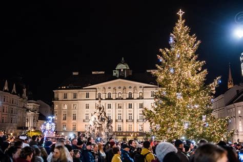 Tematické foto broskyňového stromu