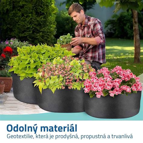 Záhon s rôznymi druhmi mäty vhodnými do osviežujúcich nápojov