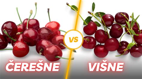 schéma otvorenej koruny višne