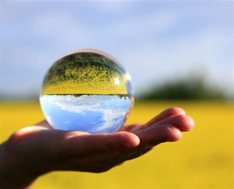 okolité prostredie skleníka s vysadenými paradajkami a oporami