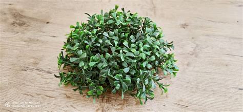 Ukážka rôznych aplikácií umelého buxusu v interiéri a exteriéri.