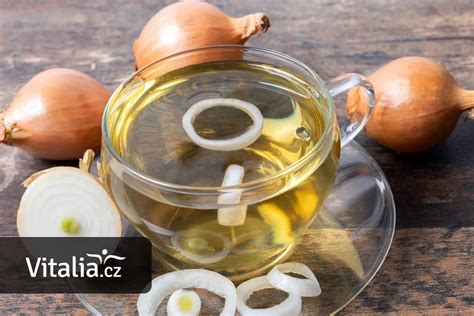 Ilustrácia dozrievajúcej cibule s políhanou vňaťou