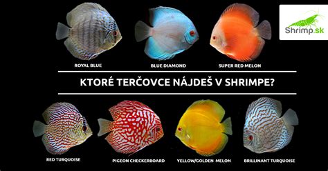 Ilustrácia vonkajšieho oplodnenia u rýb a vnútorného oplodnenia u cicavcov